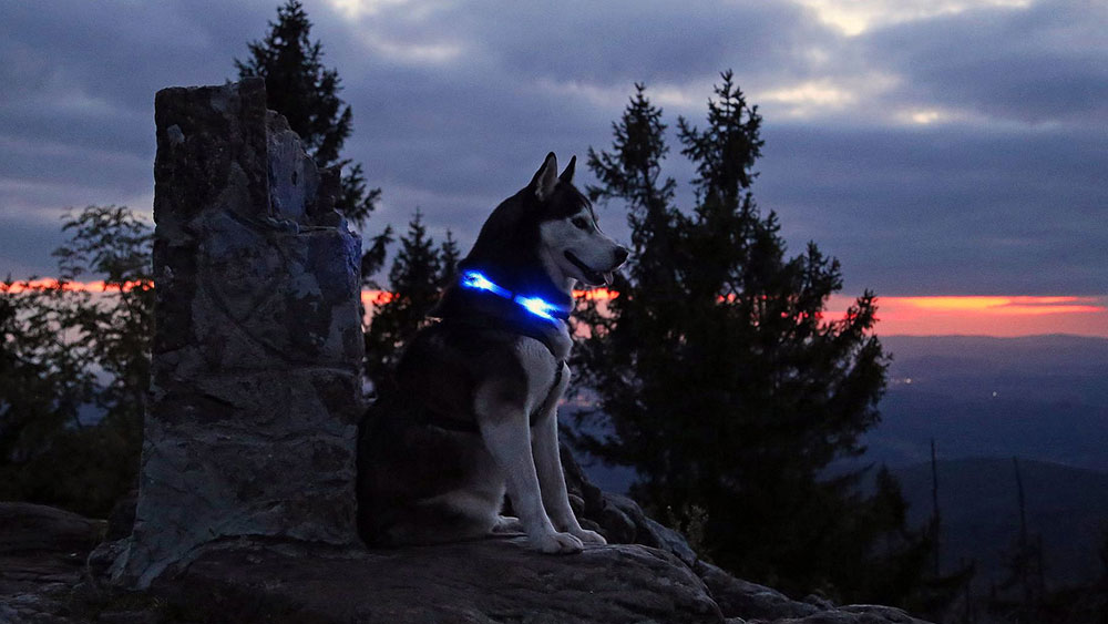 Ambiance du soir avec collier lumineux LED LEUCHTIE sur une ruine de château