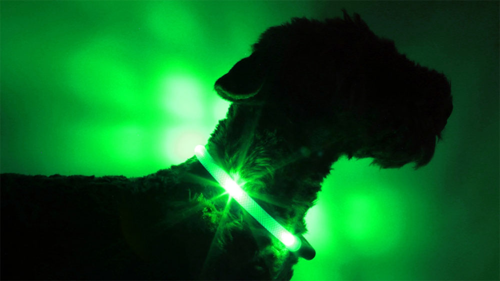 Collier lumineux LED LEUCHTIE dans la version extrêmement lumineuse verte en tube transparent