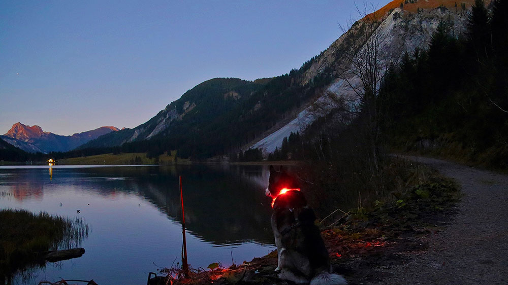 Ambiance du soir au bord du lac de montagne avec le collier lumineux LED LEUCHTIE